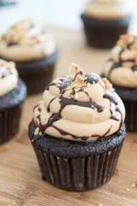 Chocolate Peanut Butter Cupcakes Recipe