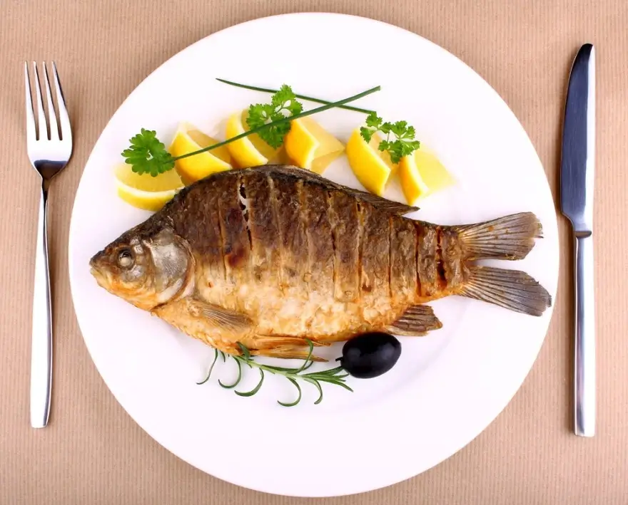 healthy meals to lose weight