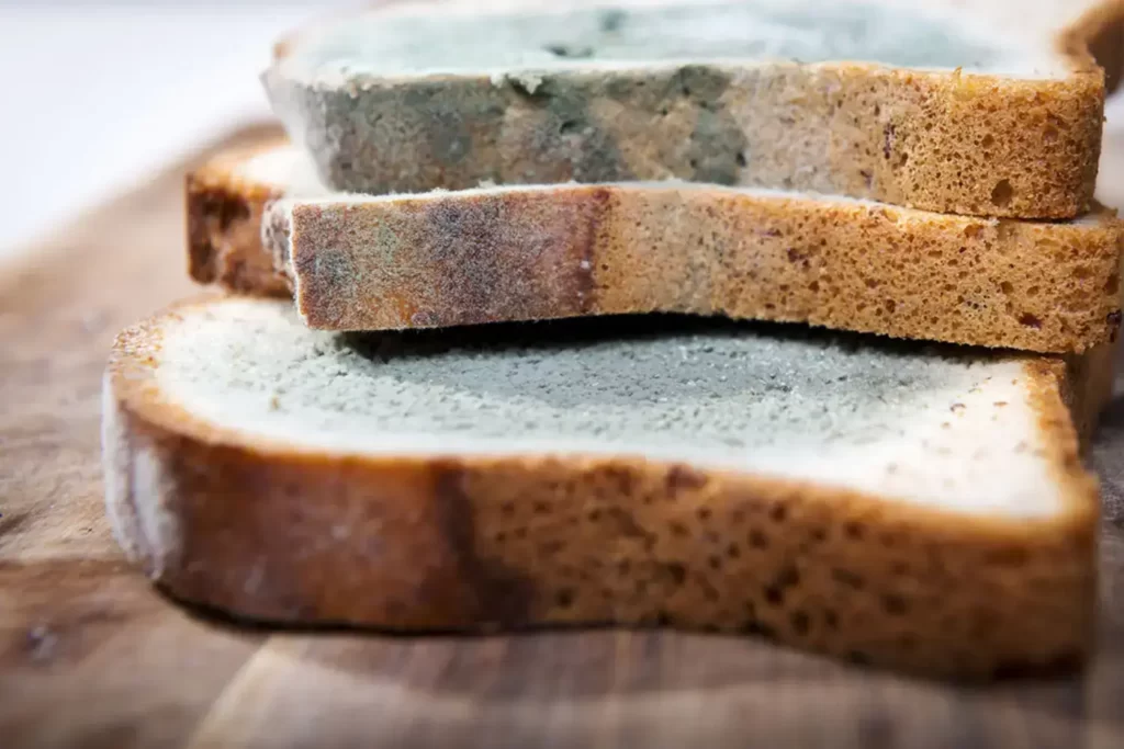 how to keep store-bought bread fresh